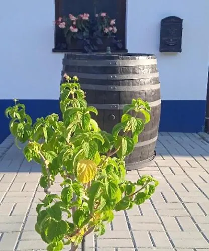 Sklípek U Cyklostezky Apartmán